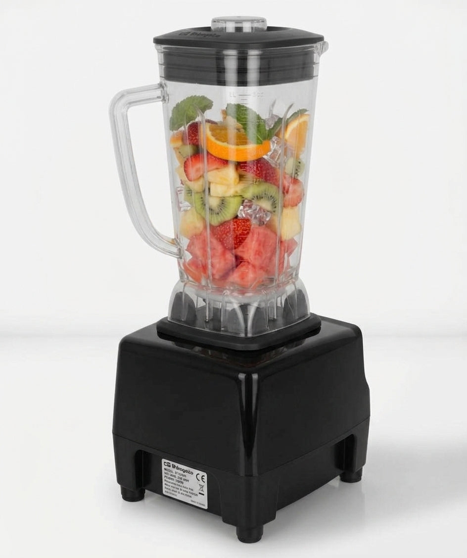 Batidora profesional CASFRI BL-V-1500